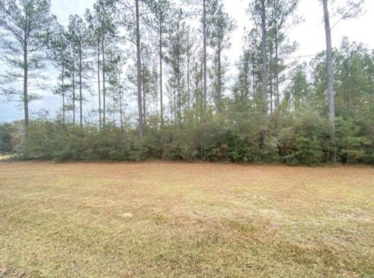 Paperwood Rd, Chunchula, AL 36521 MLS Affordable Building Acreage