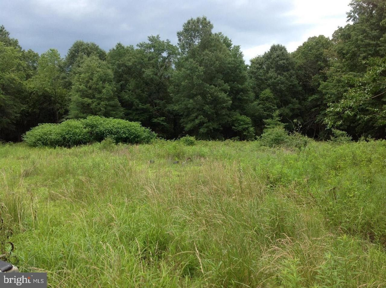 3 acres in Culpeper County, Virginia