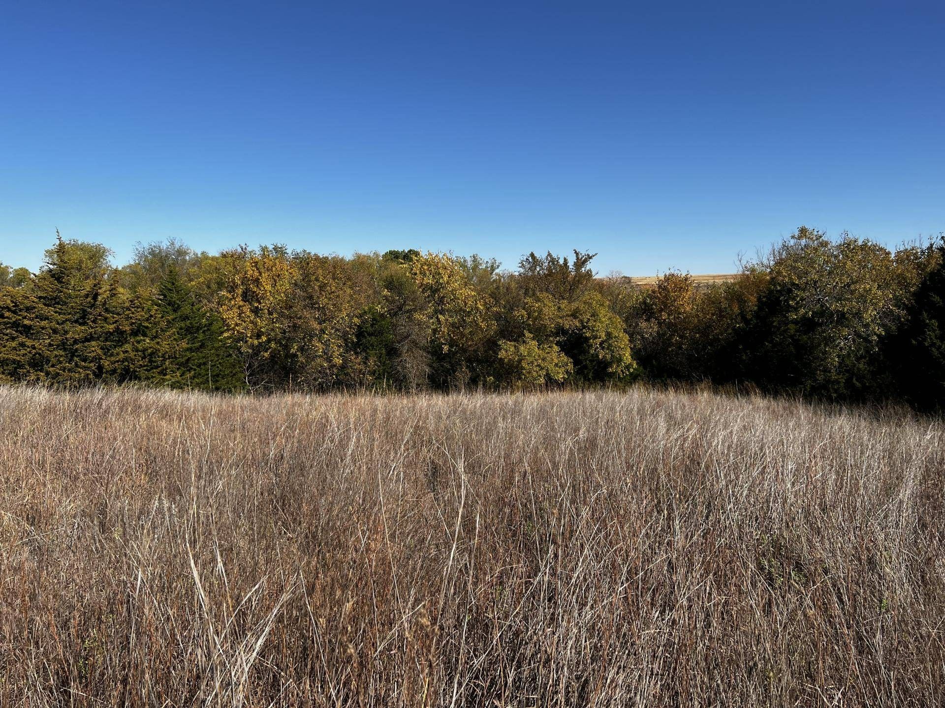 240 acres in Custer County, Oklahoma