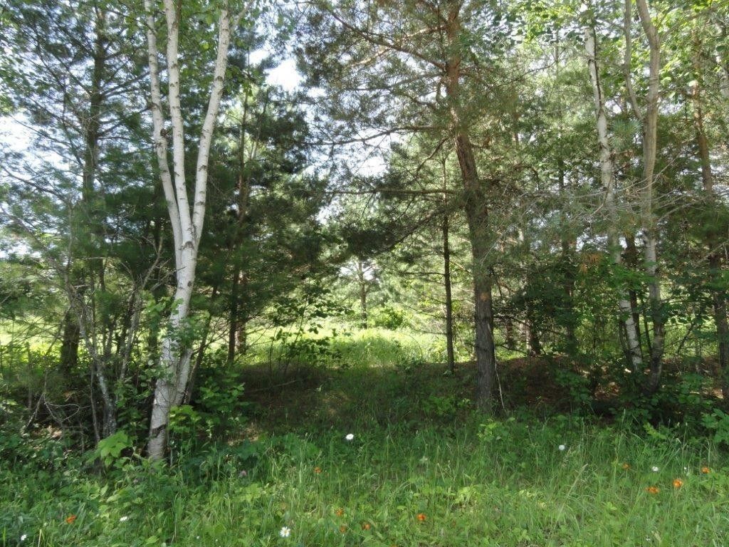 5.15 acres in Barron County, Wisconsin