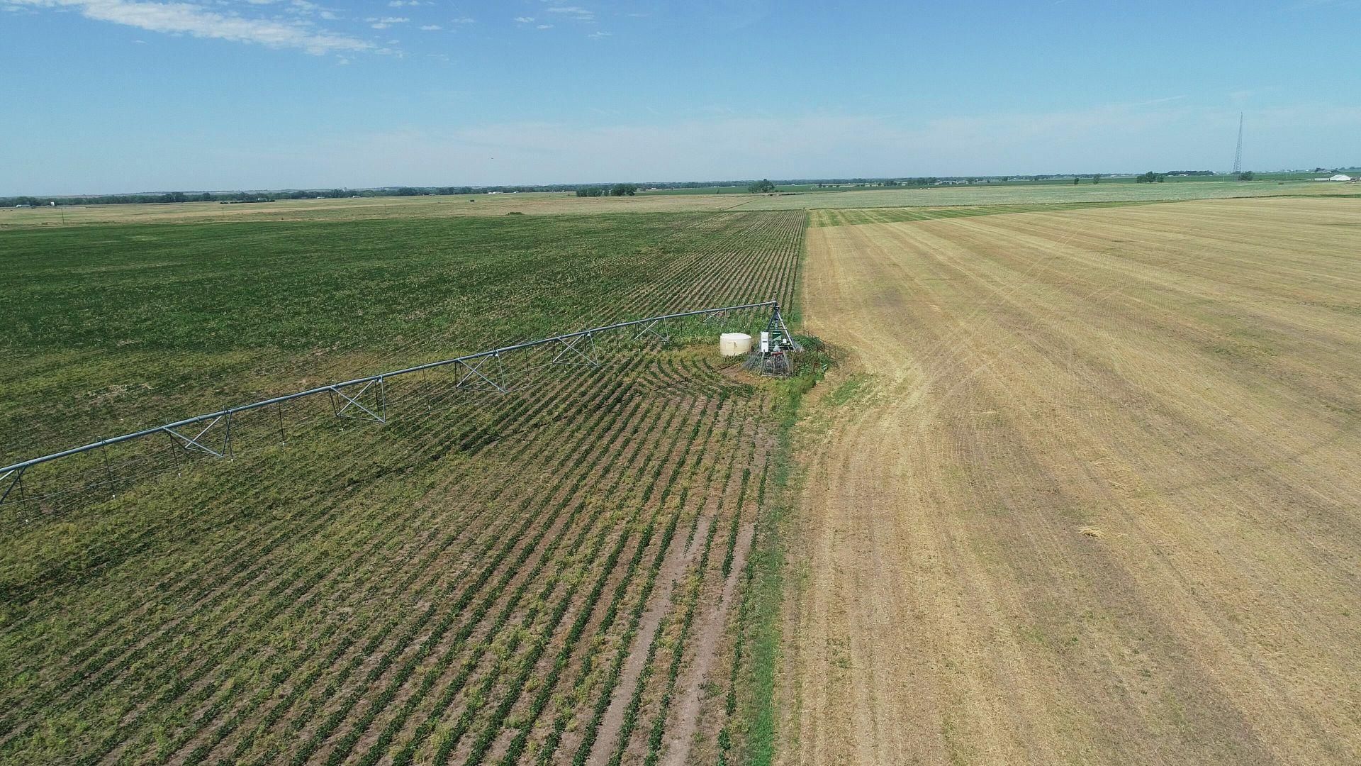 159.91 acres in Dawson County, Nebraska