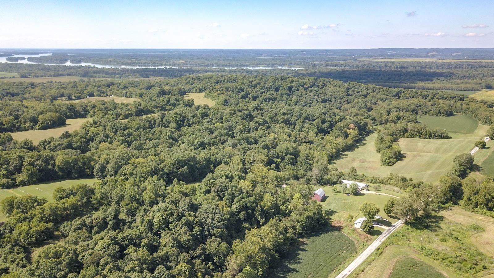 Kintown Hollow Rd, Hardin, IL 62047