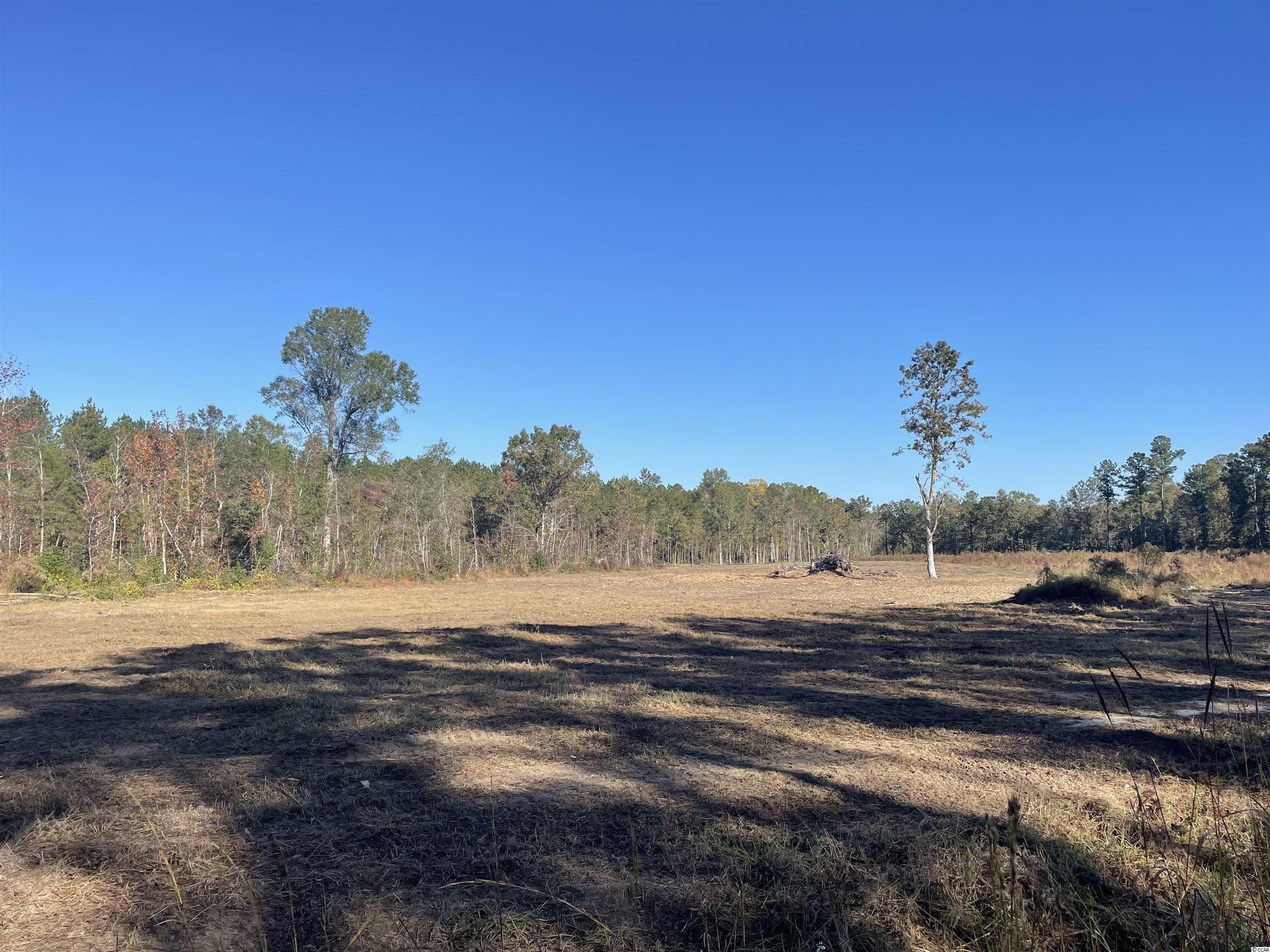 4 acres in Williamsburg County, South Carolina