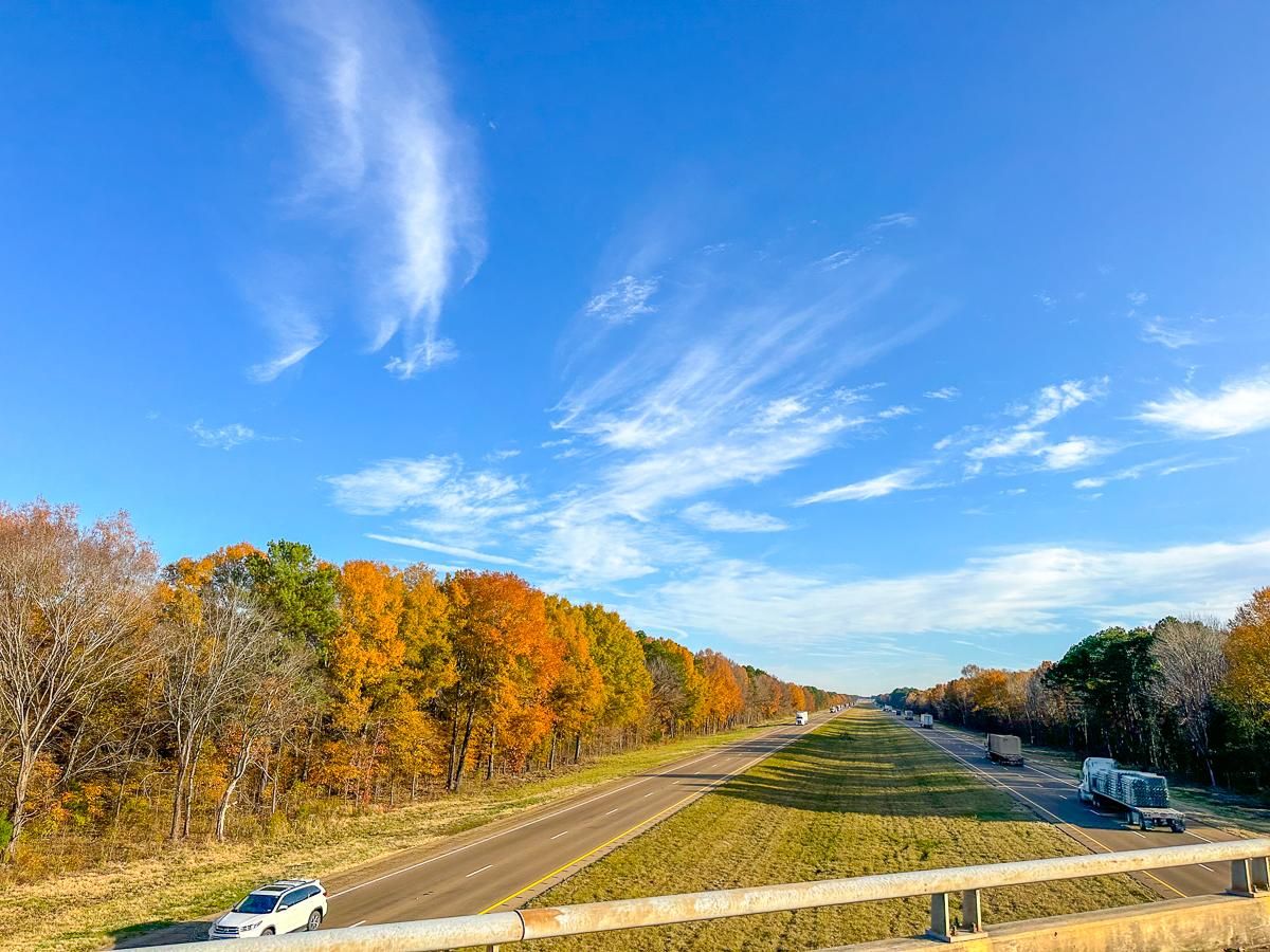 181 acres in Bowie County, Texas