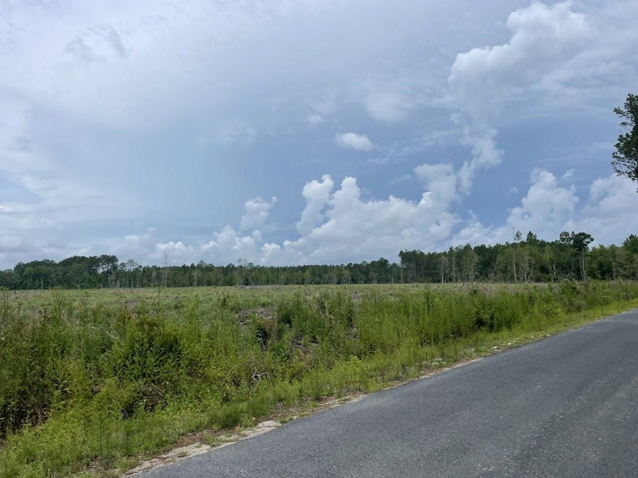66 acres in Walterboro, SC, 29488