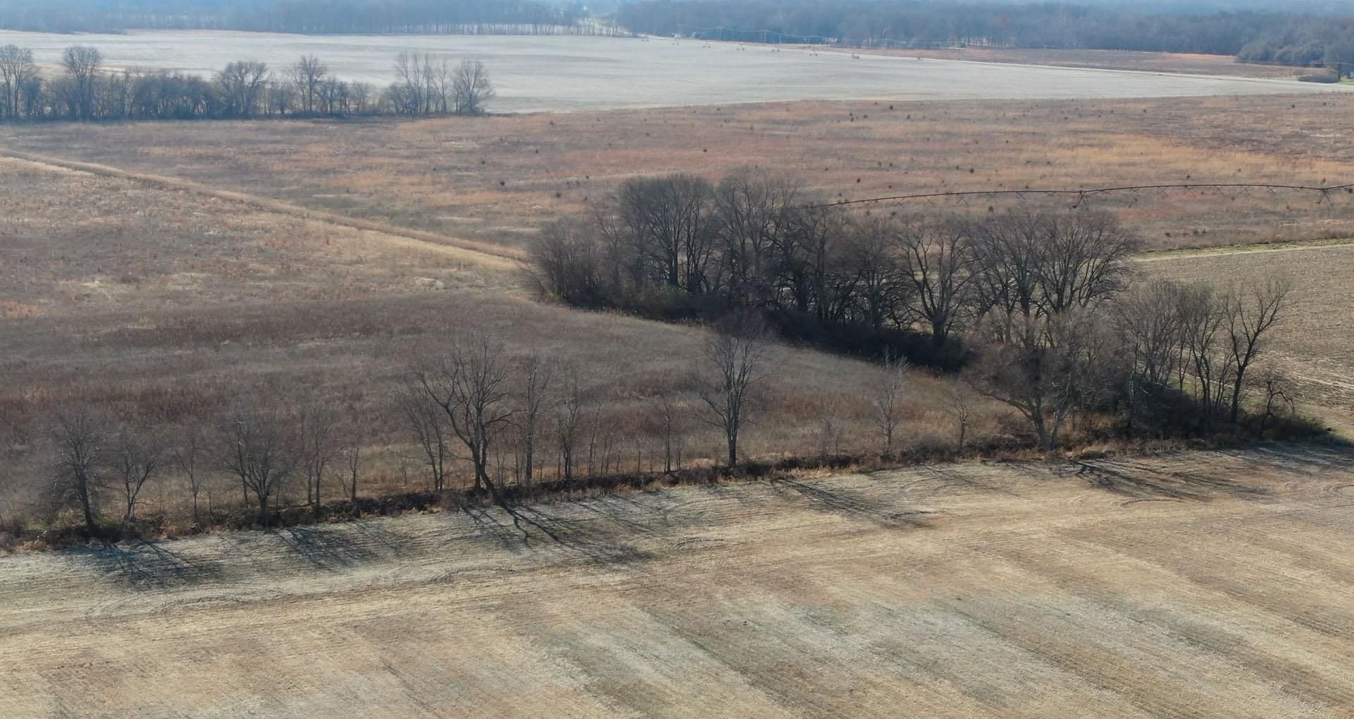 180 acres in Mason County, Illinois