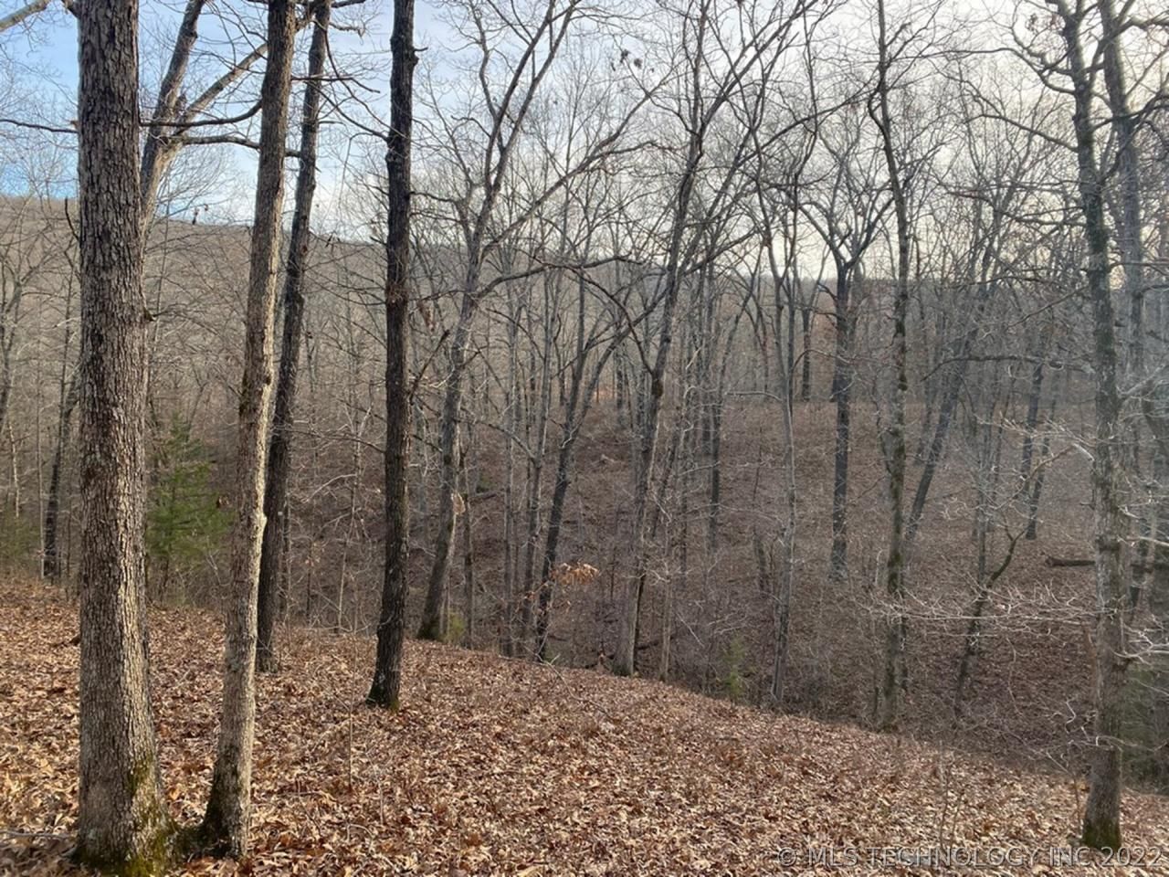 40 acres in Cherokee County, Oklahoma