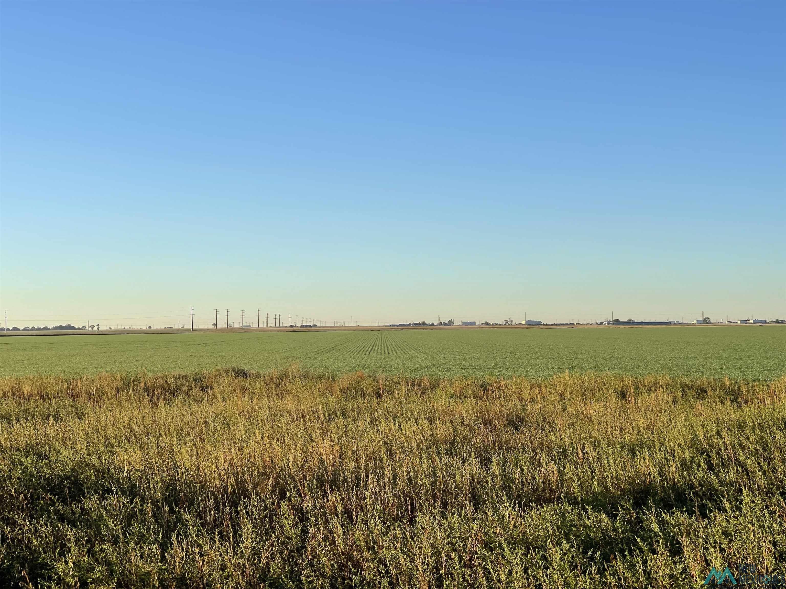 40.59 acres in Curry County, New Mexico