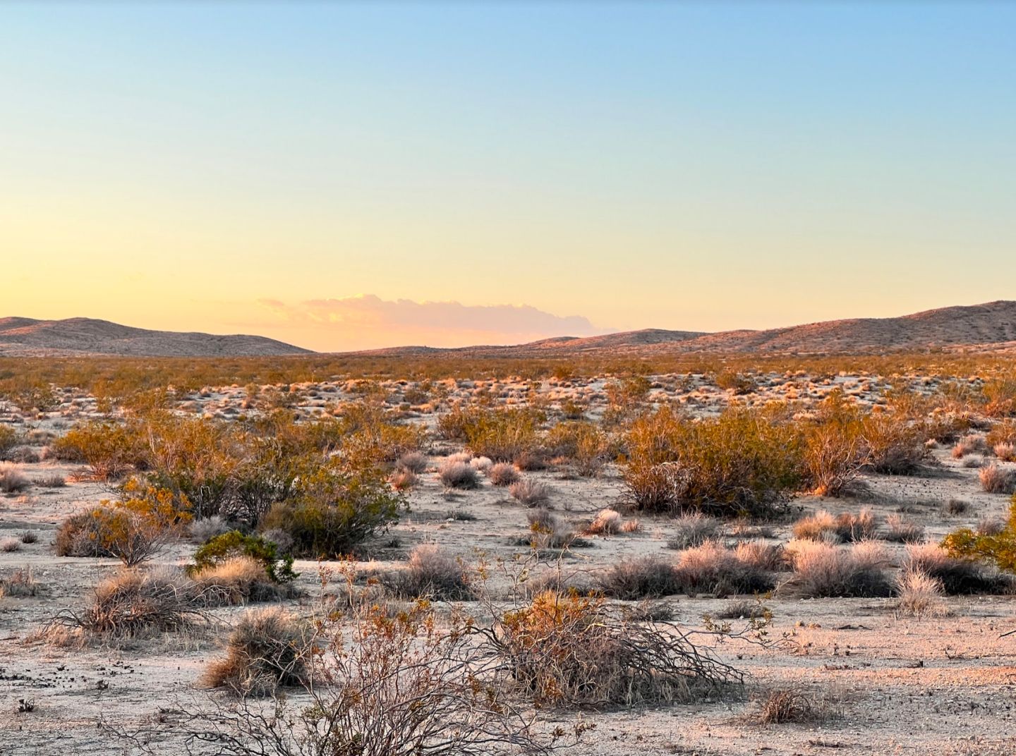 2 acres in San Bernardino County, California