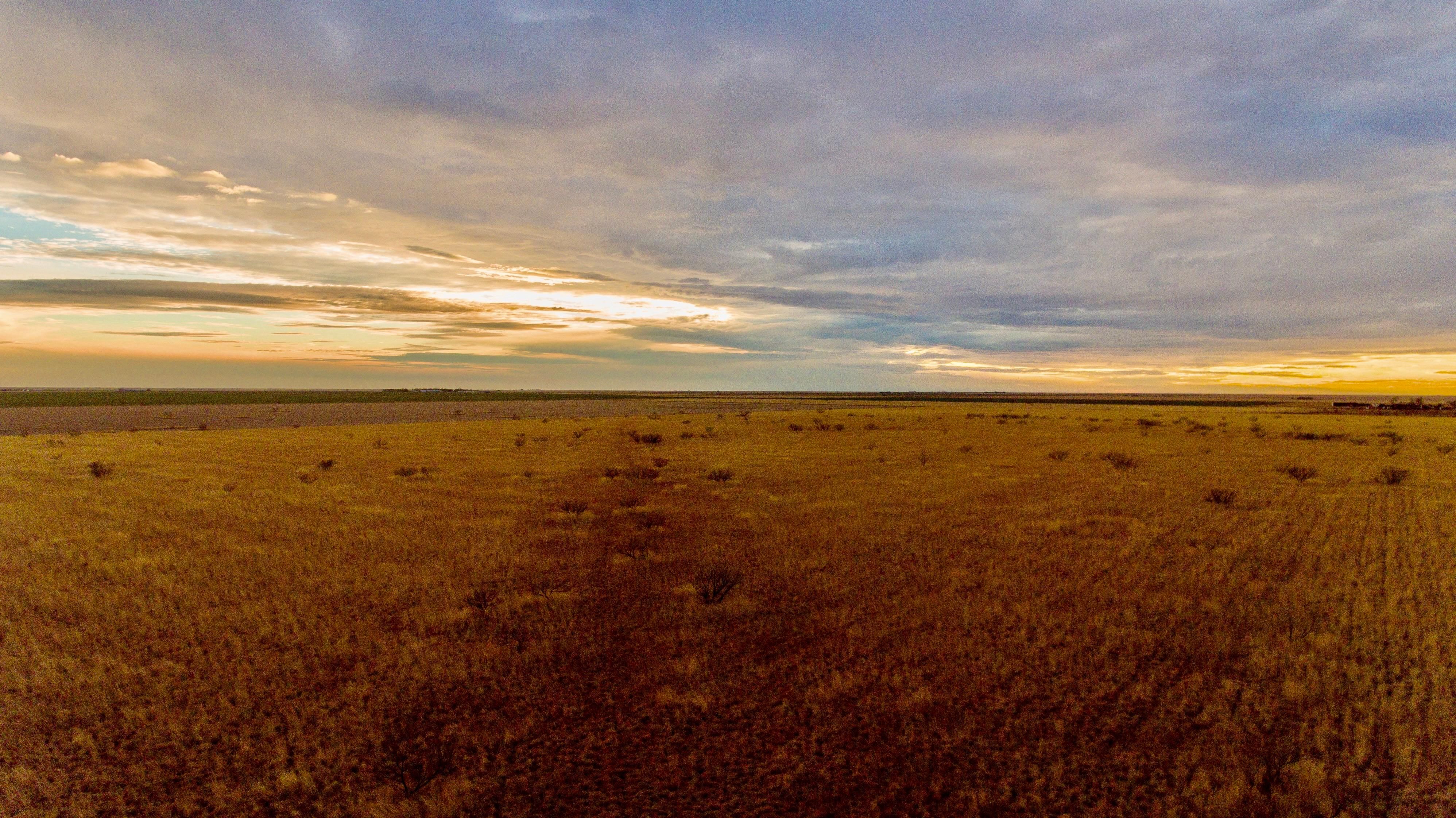 160 acres in Armstrong County, Texas