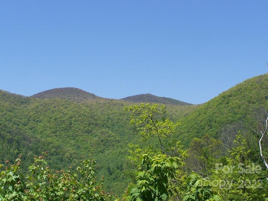 53.1 acres in Haywood County, North Carolina