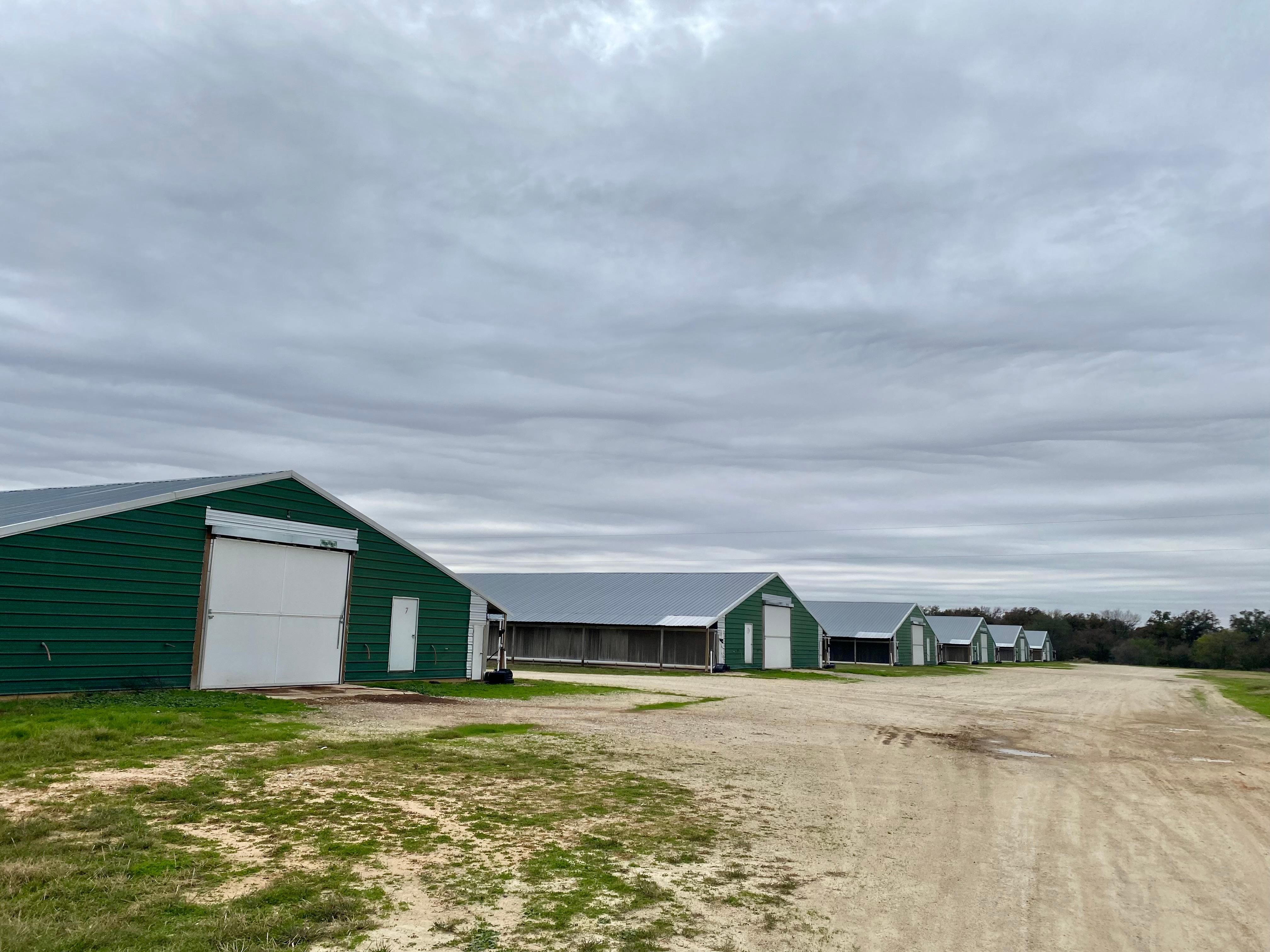 98 acres in Robertson County, Texas