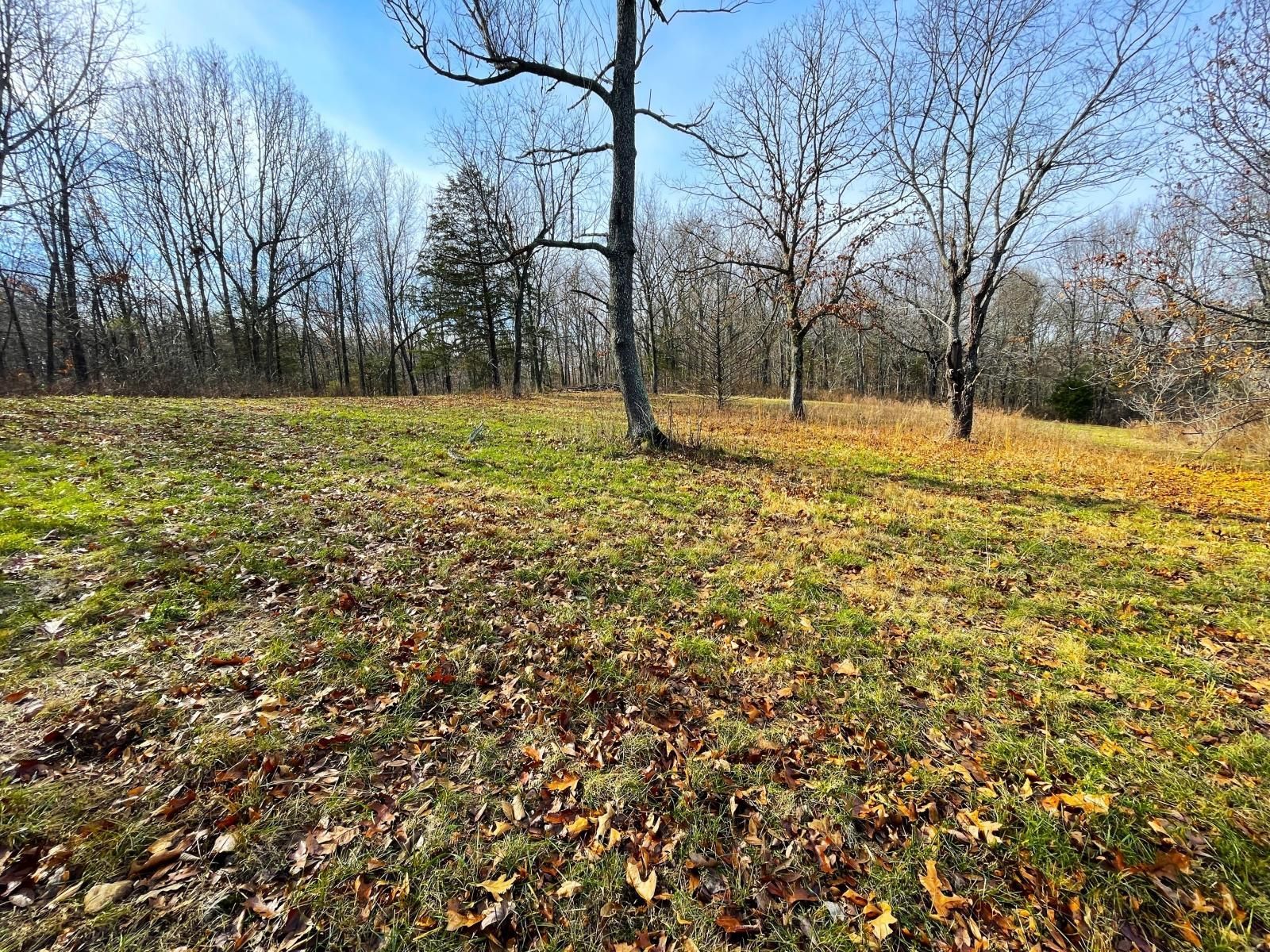 23.5 acres in McDonald County, Missouri