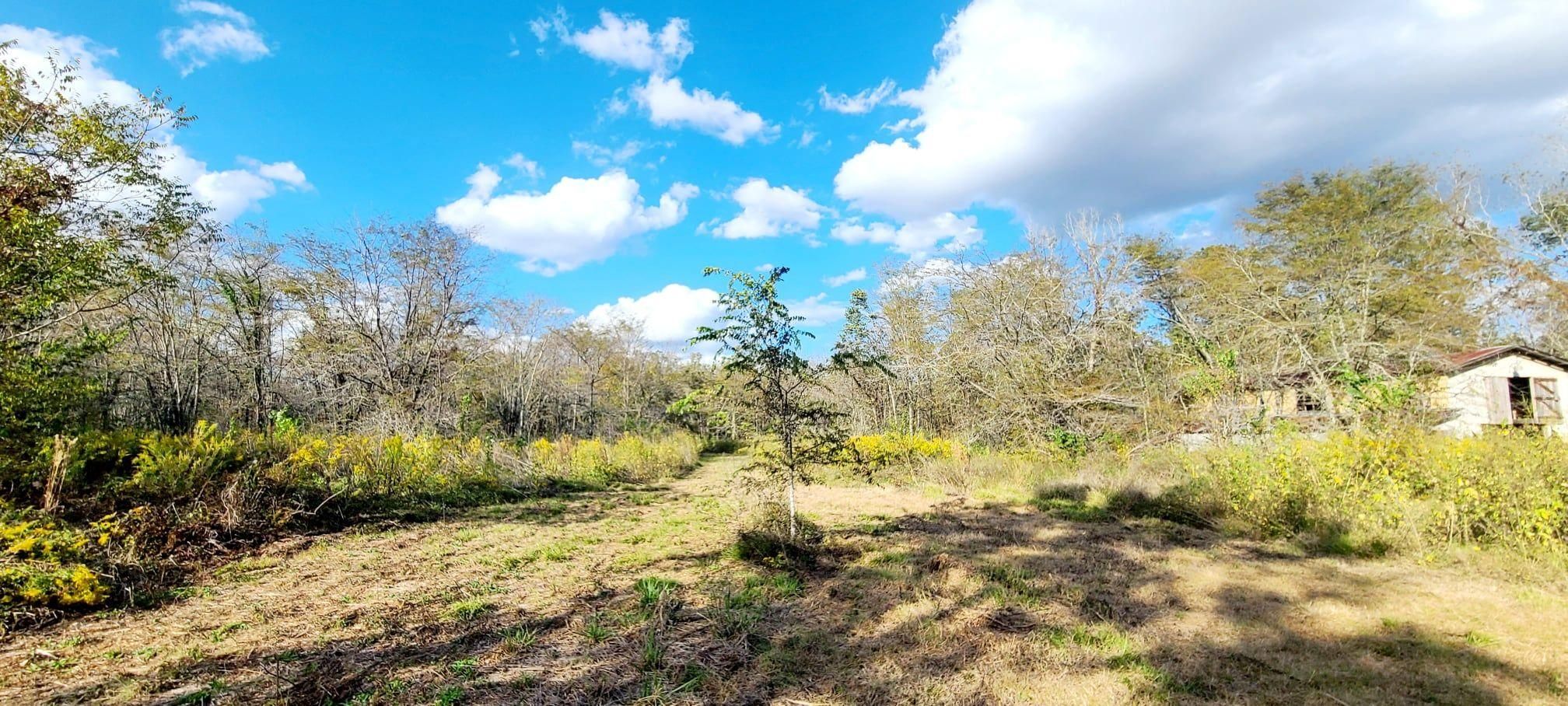 71.53 acres in Natchitoches Parish, Louisiana