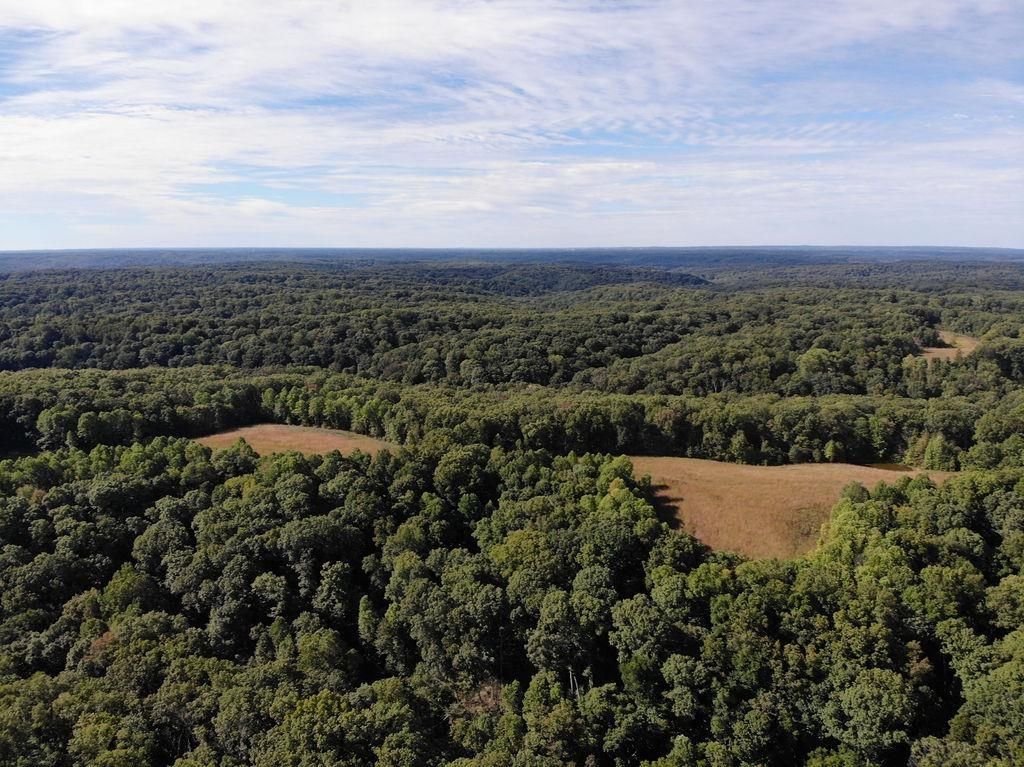 39 acres in County, Indiana