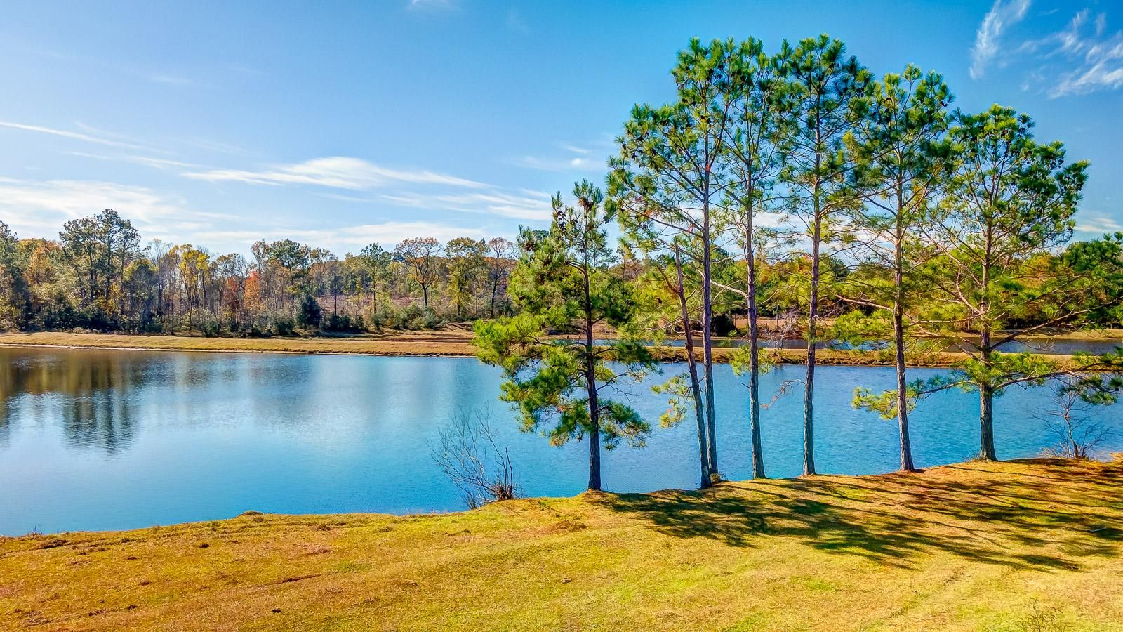 100 acres in Covington County, Alabama