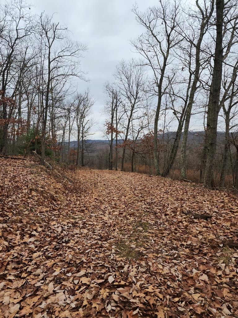 2.39 acres in Huntingdon County, Pennsylvania