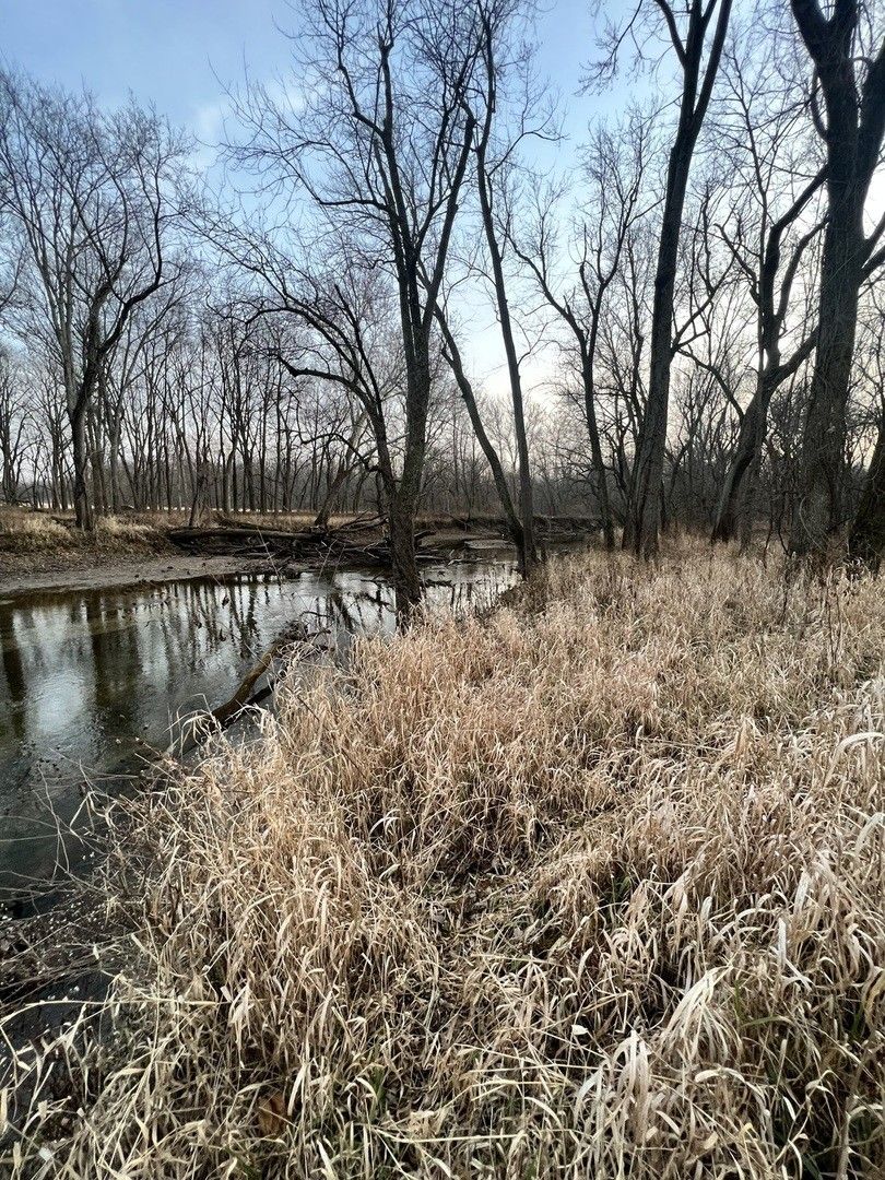 9.88 acres in Piatt County, Illinois