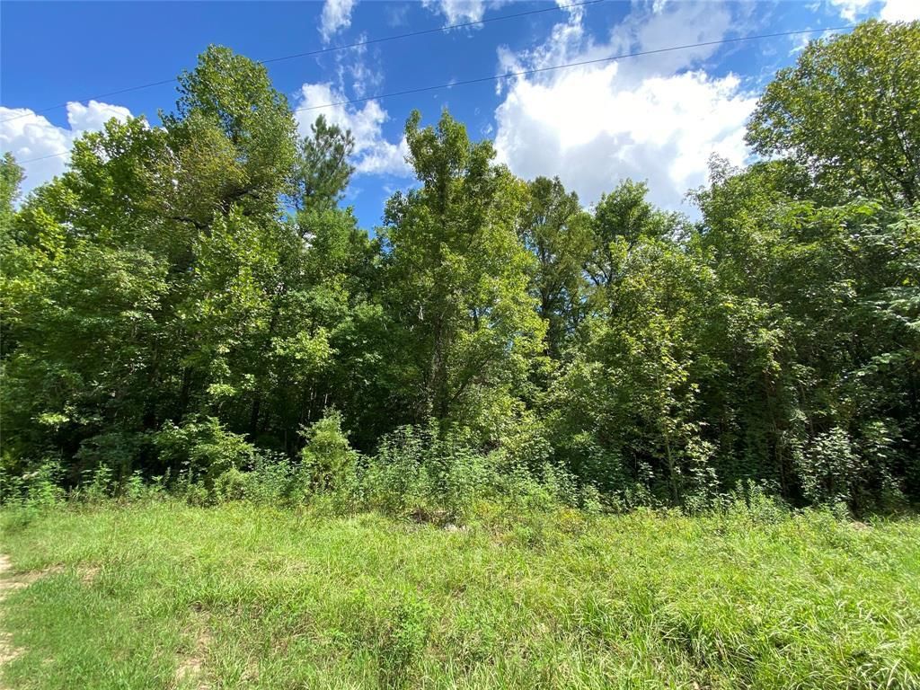 C R 3700, Woodville, TX 75979 MLS 24710815