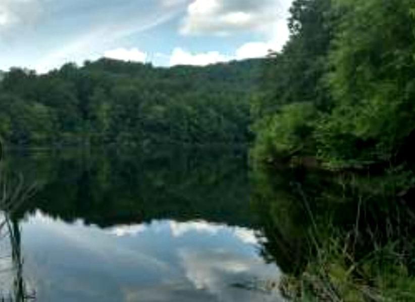 1,000 acres in Albemarle County, Virginia