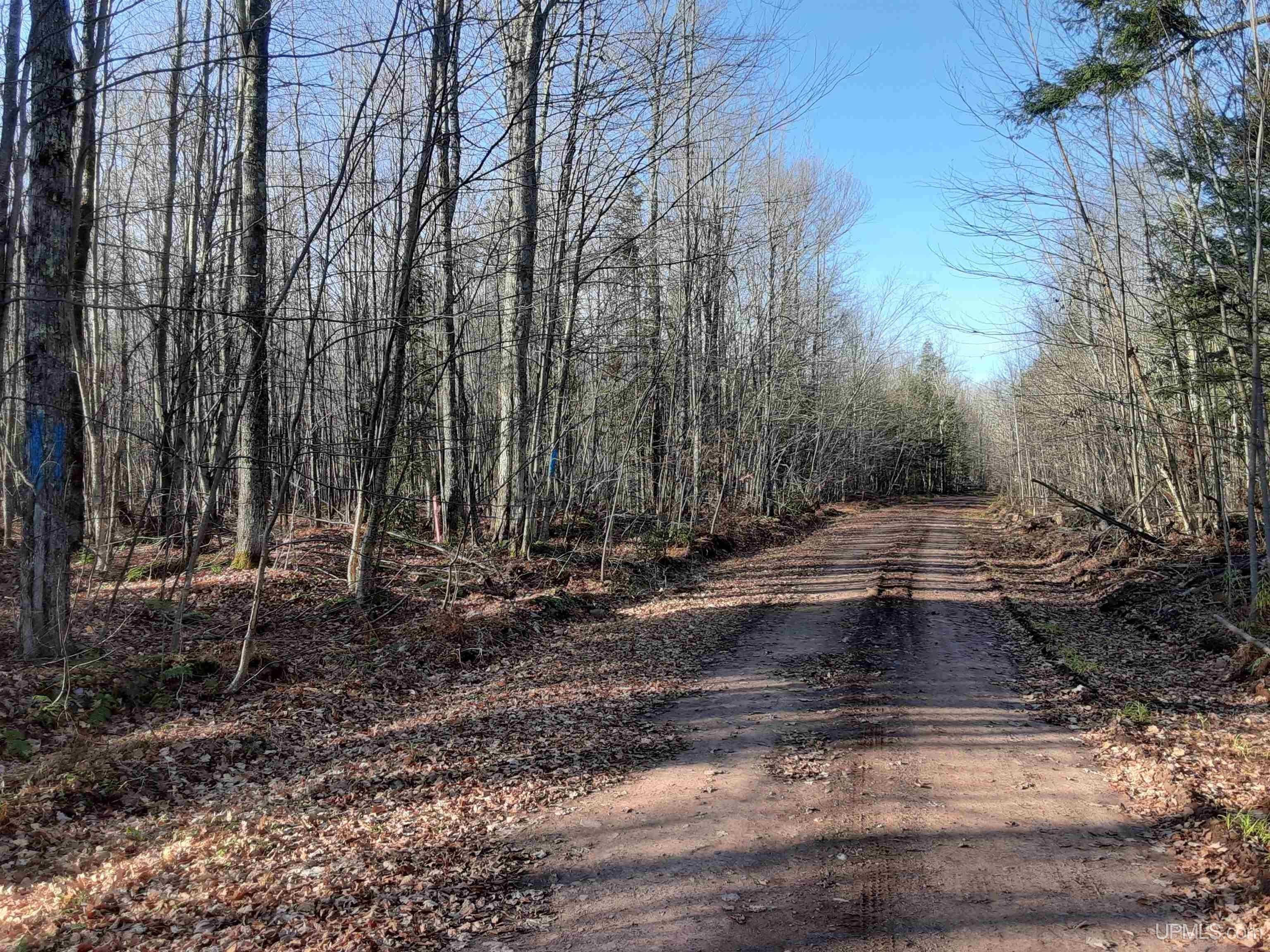 40 acres in Gogebic County, Michigan