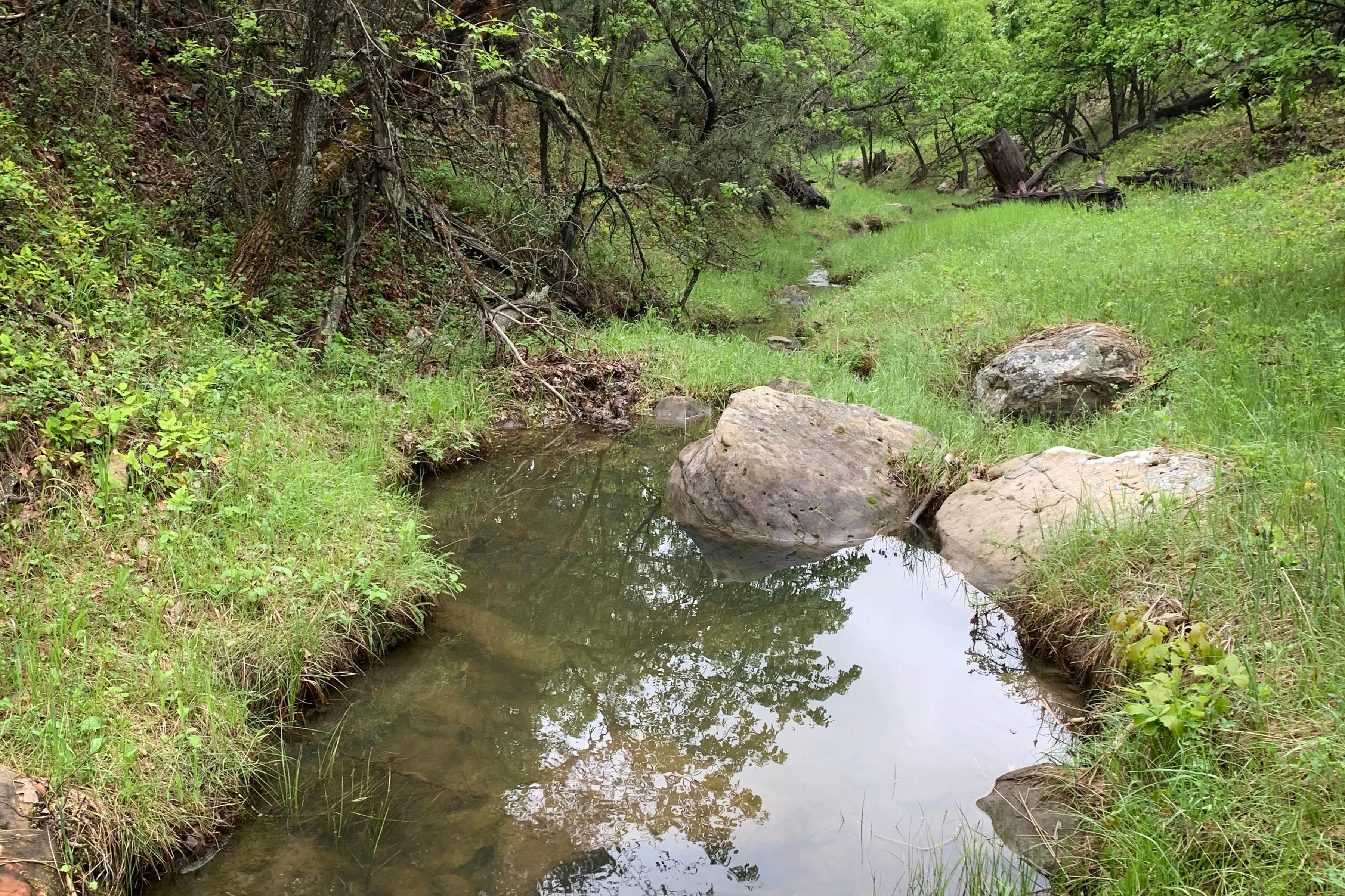 156 acres in Crook County, Wyoming