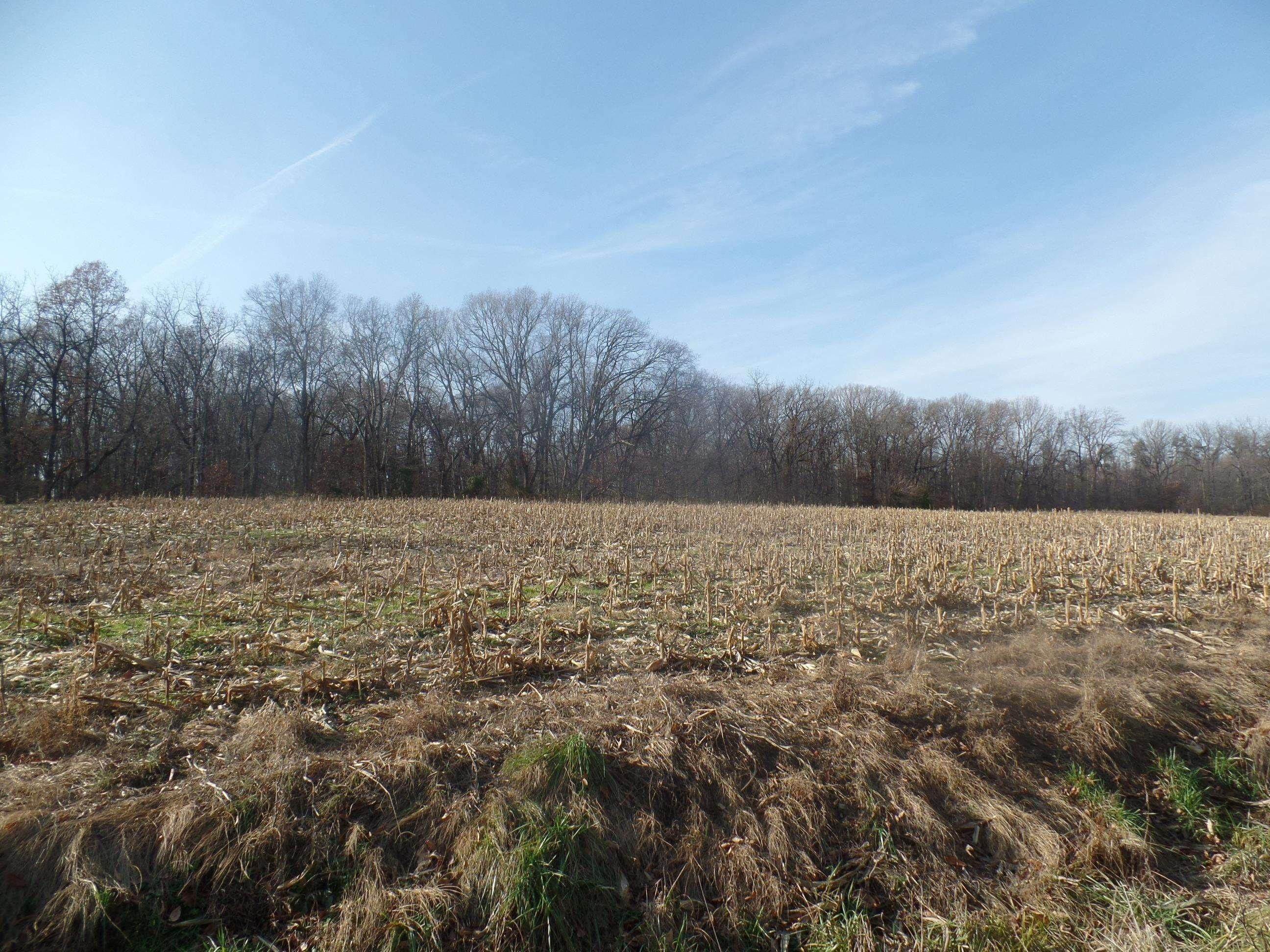 99 acres in Greene County, Indiana