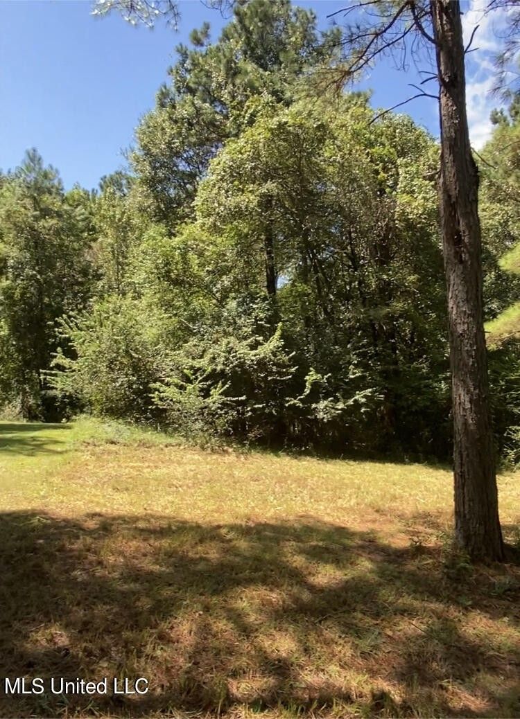 1.04 acres in Hinds County, Mississippi