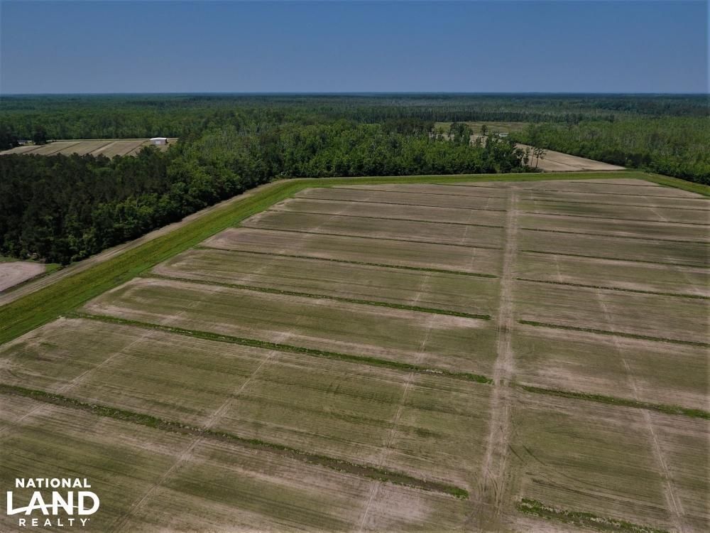 165 acres in Tyrrell County, North Carolina