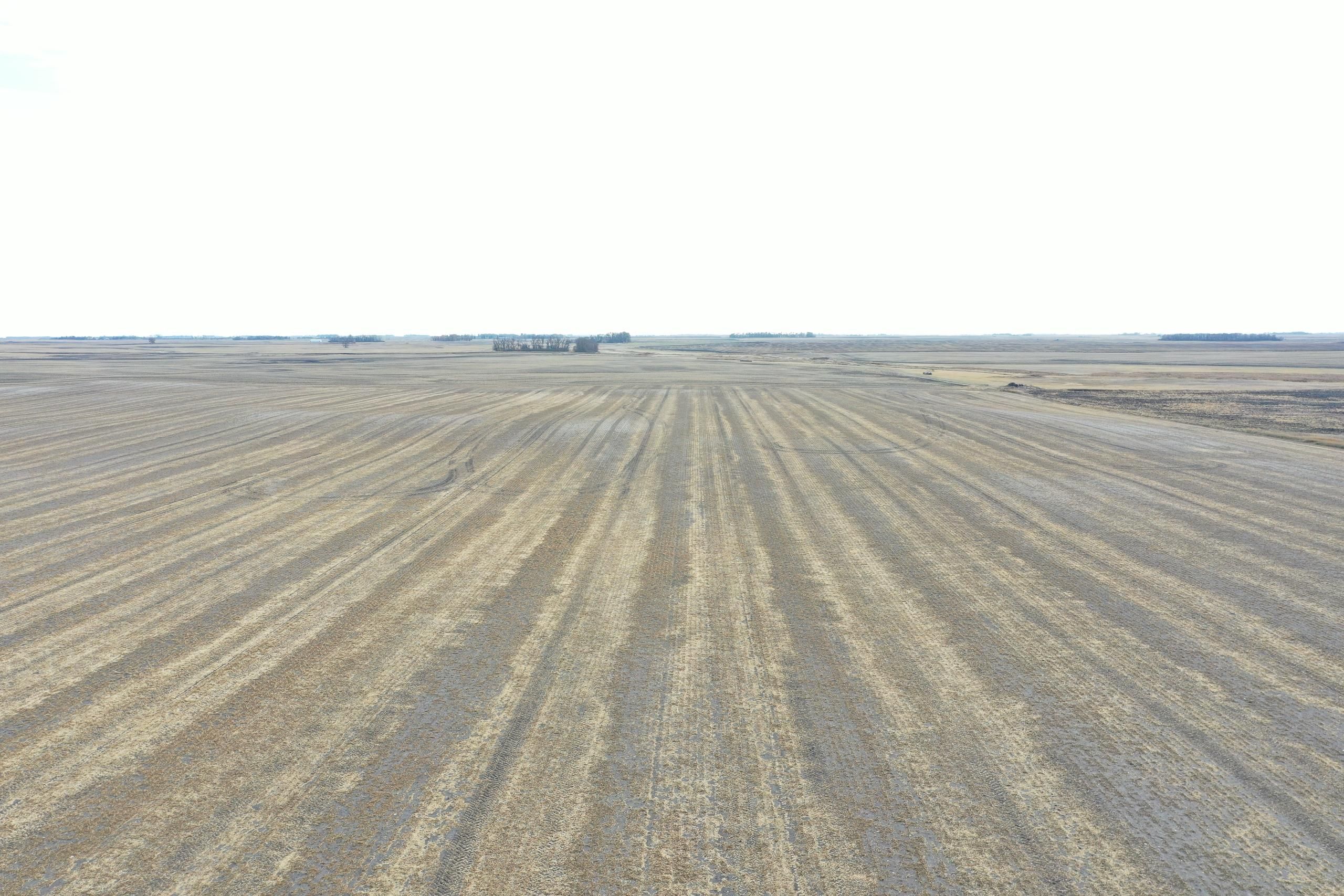 160 acres in Nelson County, North Dakota