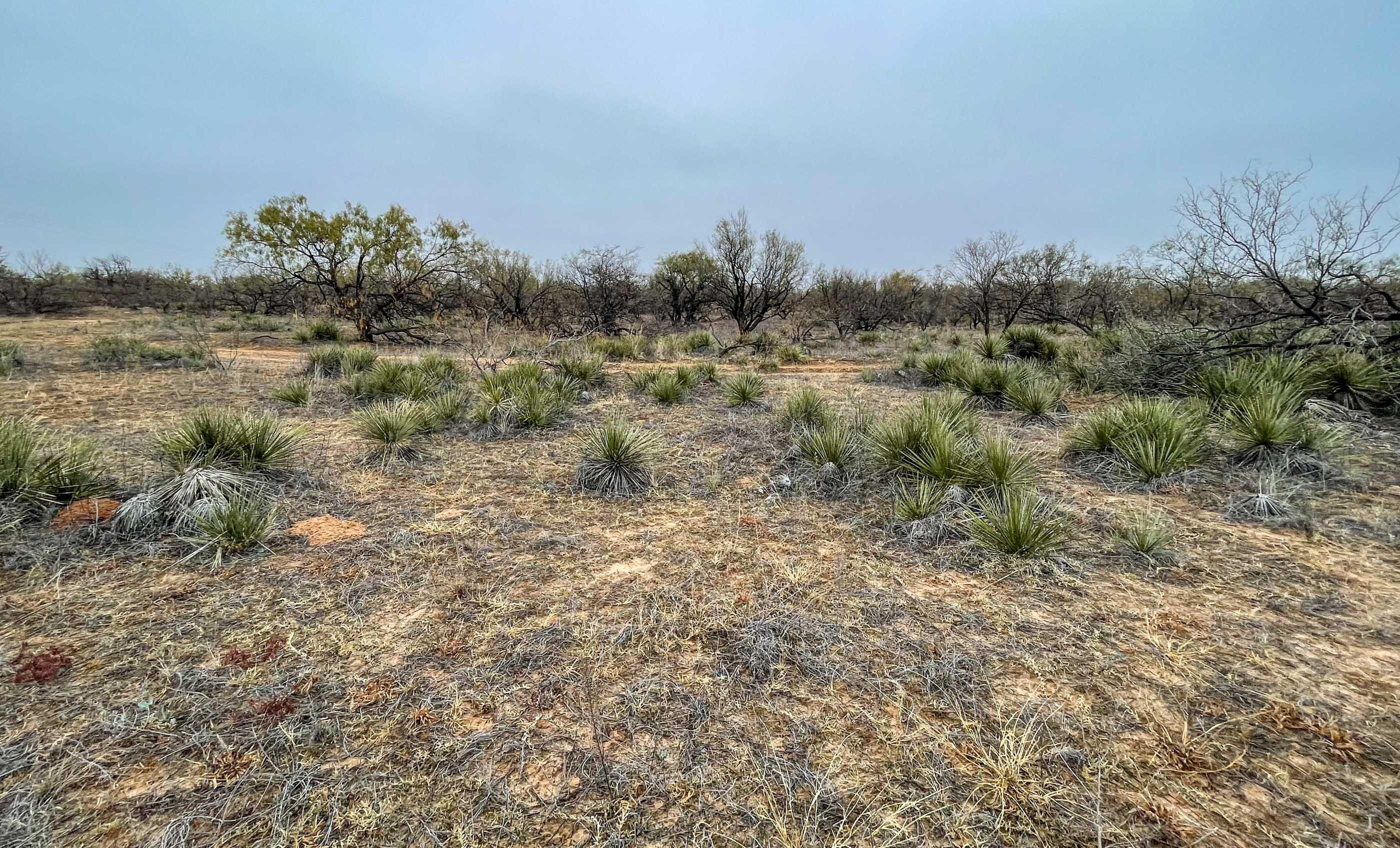 1,278.61 acres in Garza County, Texas