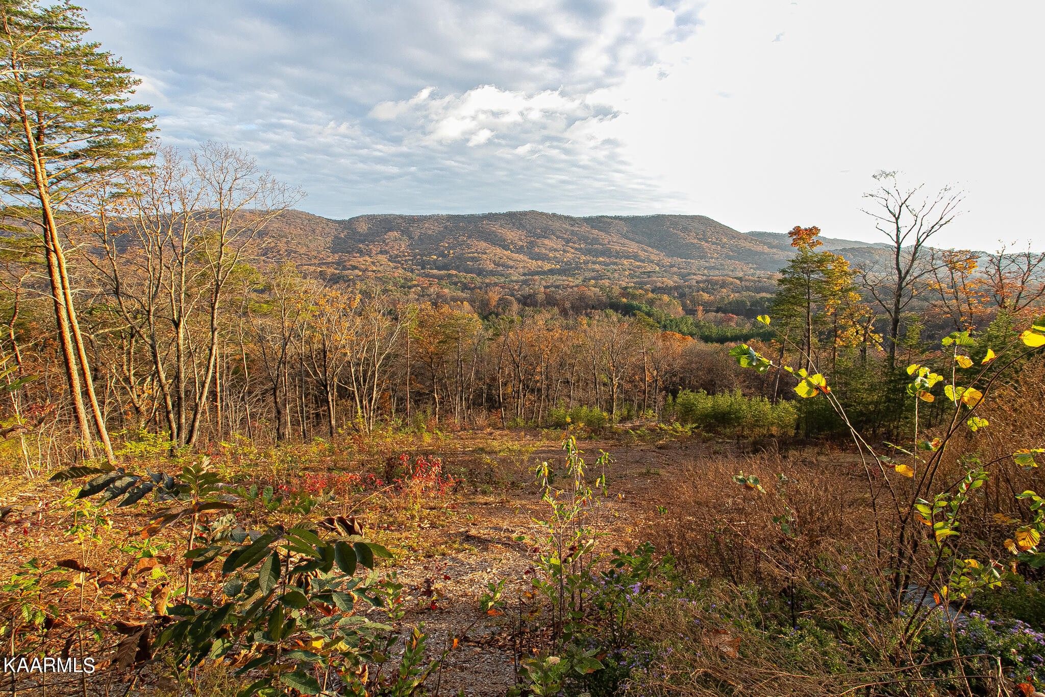 5.73 acres in Blount County, Tennessee