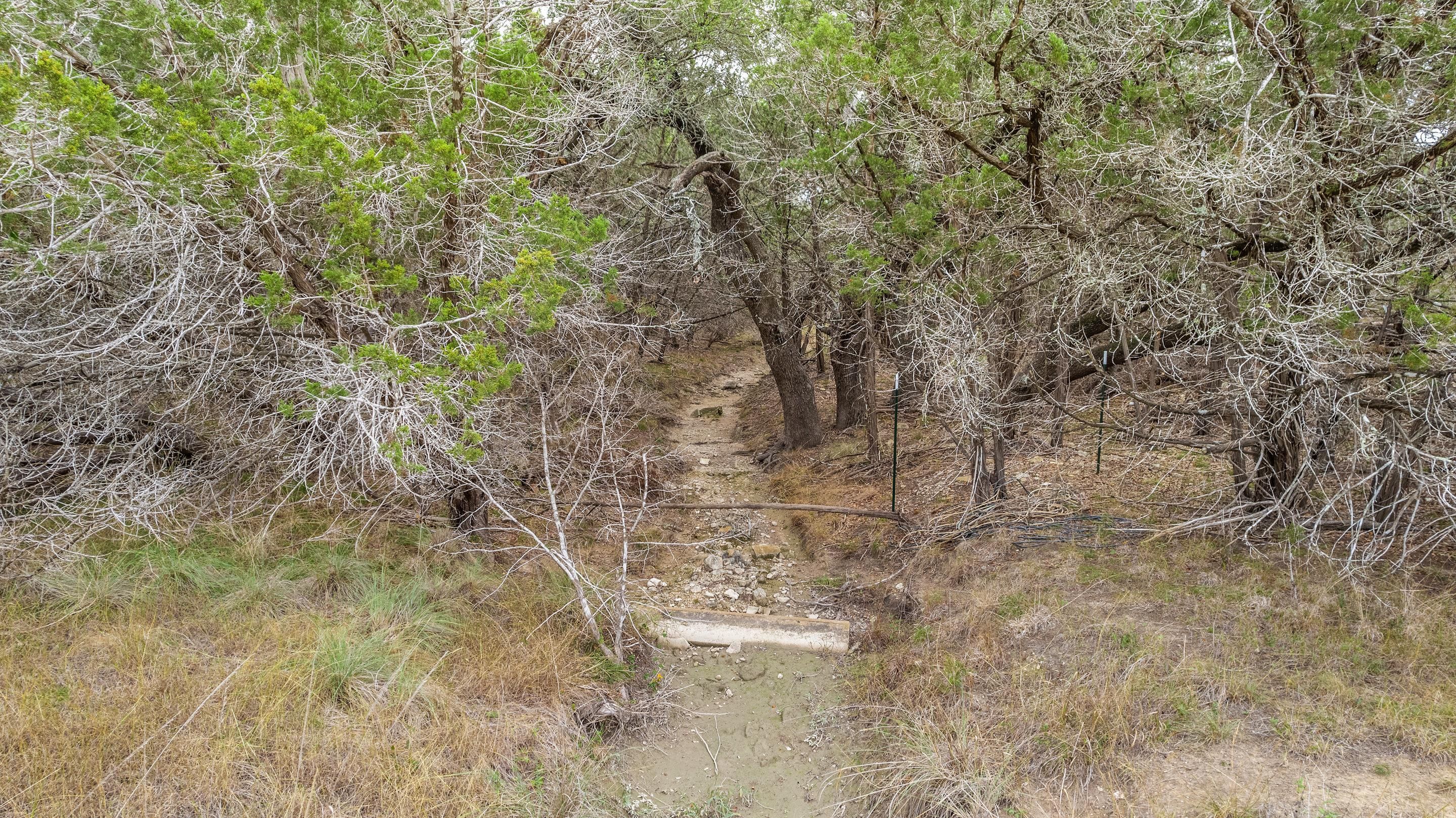 2.65 acres in Blanco County, Texas