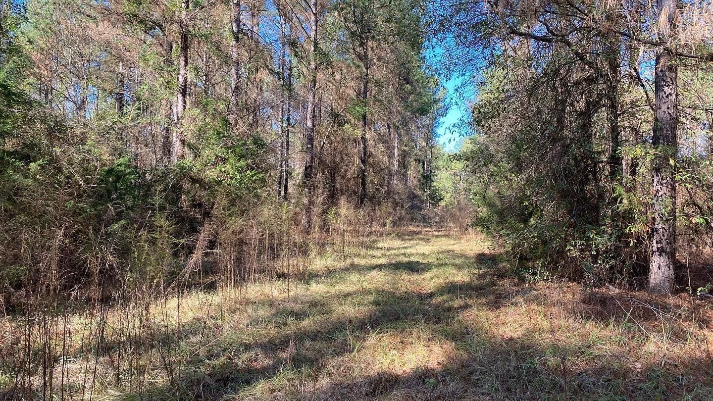 92 acres in Crenshaw County, Alabama