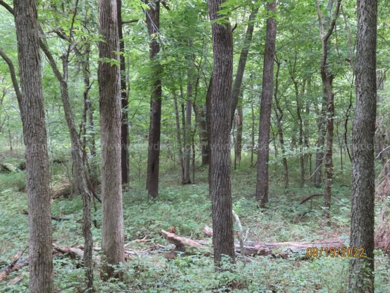20 acres in Bates County, Missouri