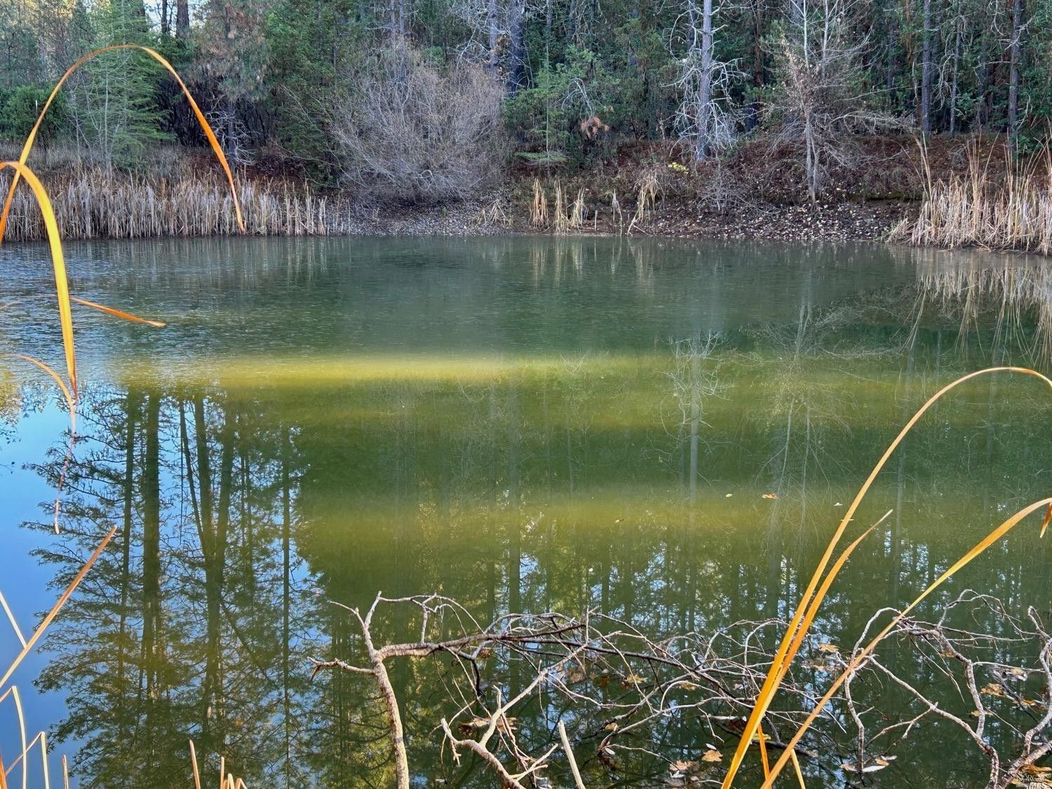 10 acres in Mendocino County, California