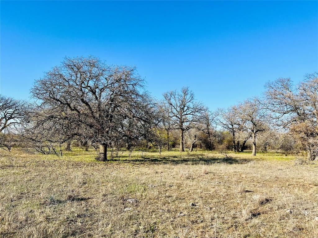 193 acres in Clay County, Texas