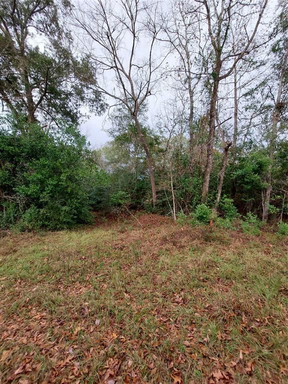 5 acres in San Jacinto County, Texas
