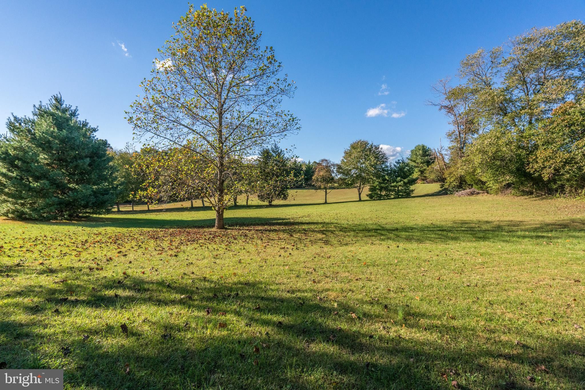 1.24 acres in Culpeper County, Virginia
