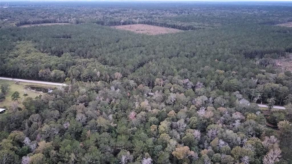 15.31 acres in San Jacinto County, Texas