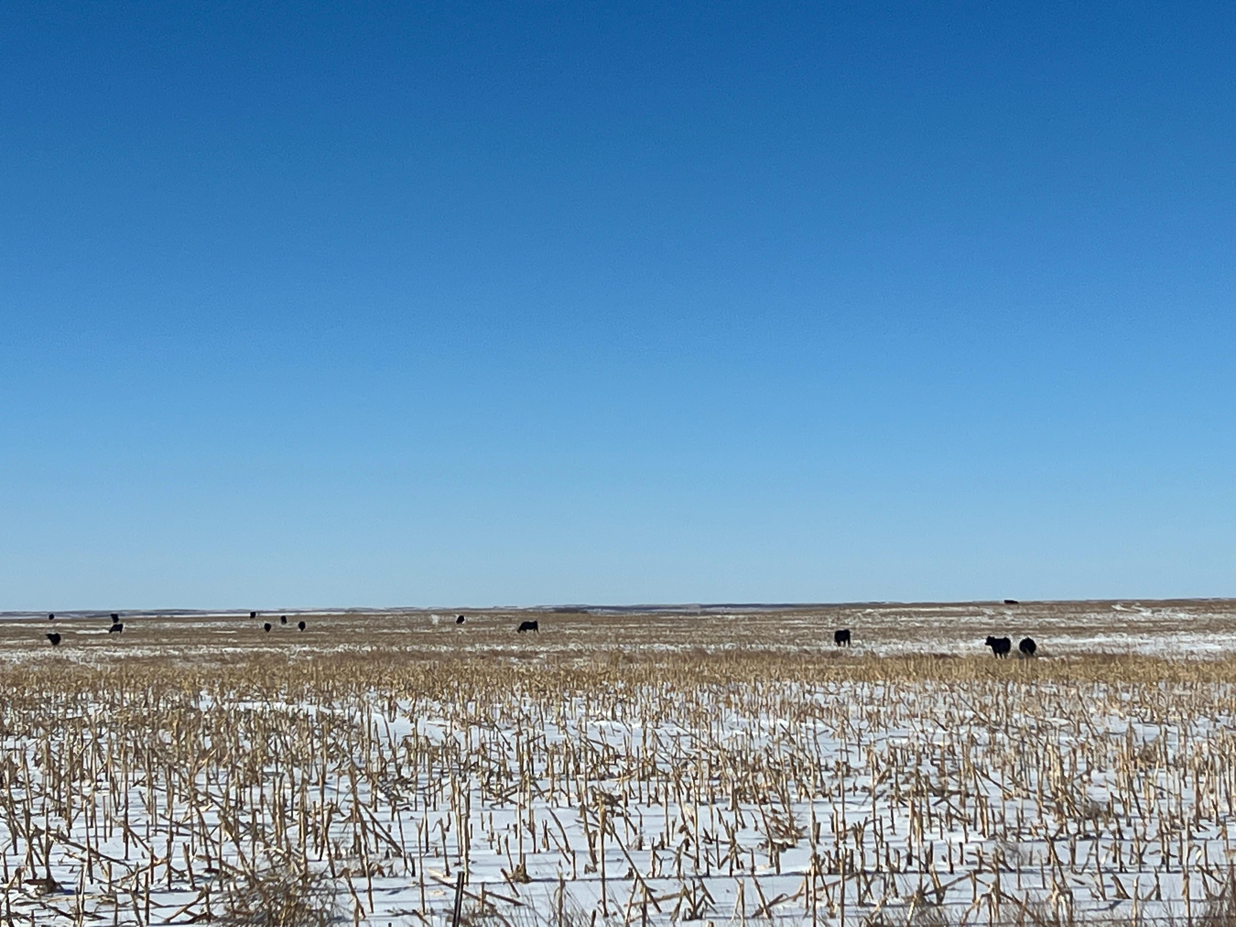 1,010 acres in McPherson County, South Dakota