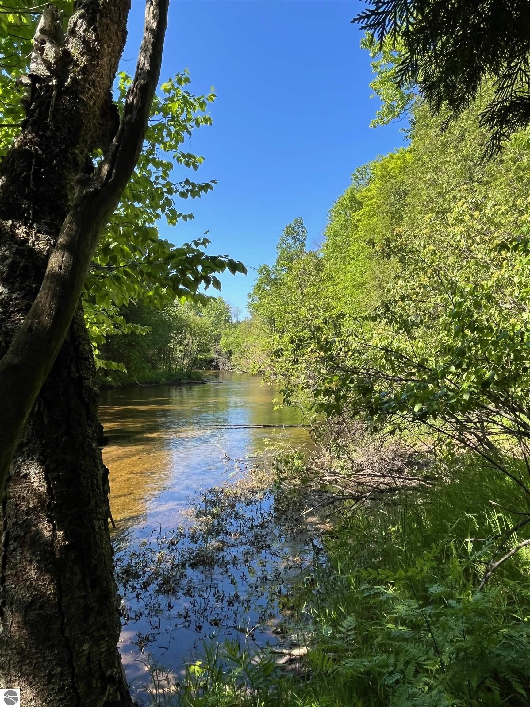 40 acres in Benzie County, Michigan