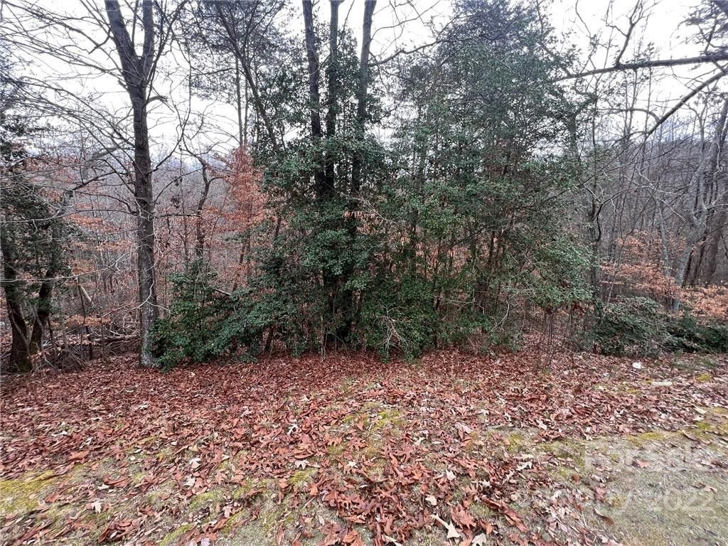 6.38 acres in Alexander County, North Carolina