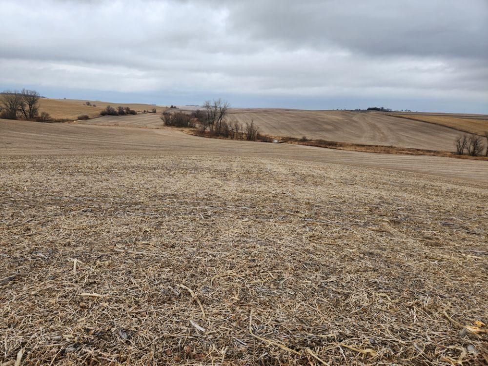 75 acres in Lyons, NE, 68038