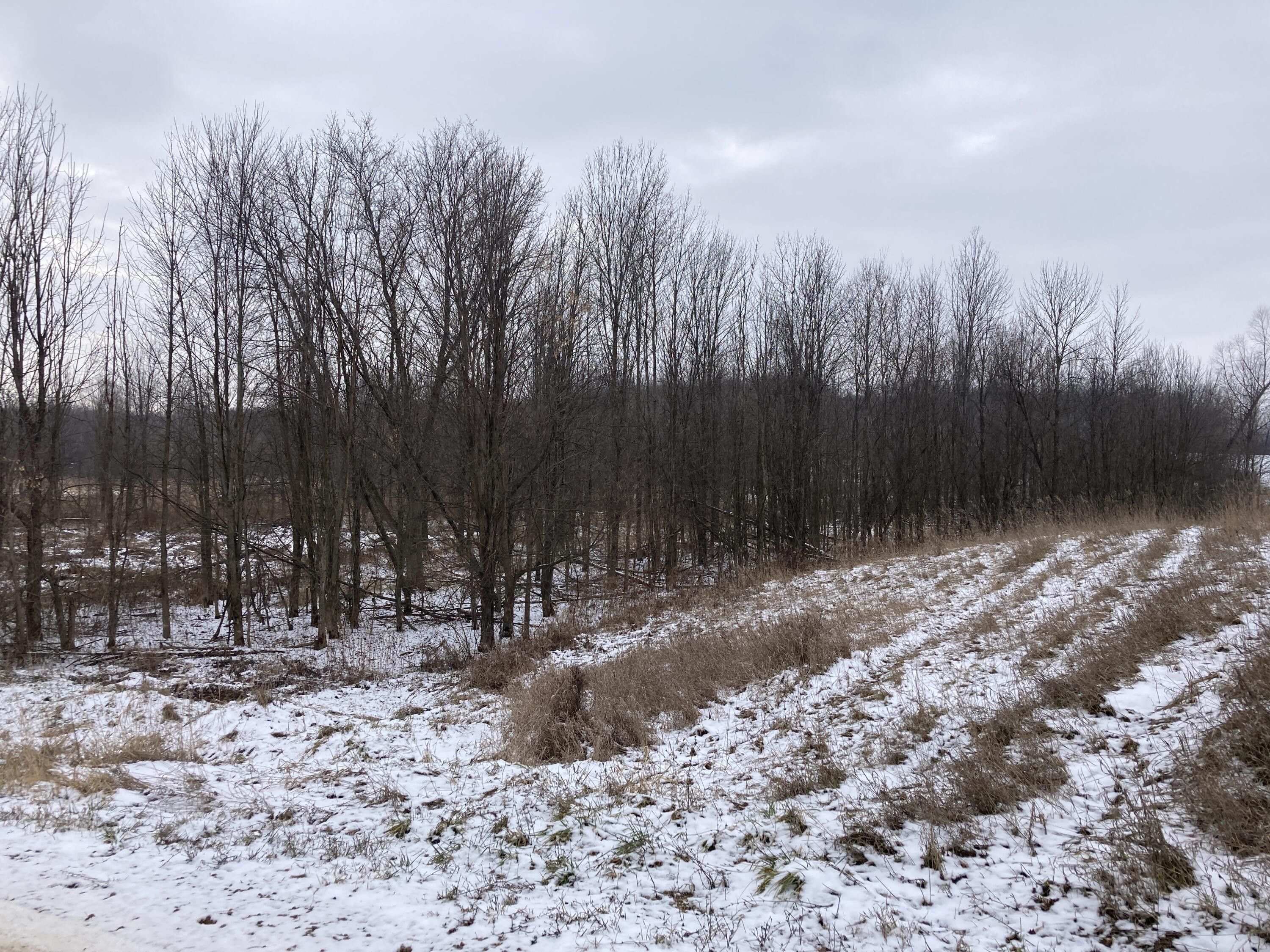 19.3 acres in Barry County, Michigan