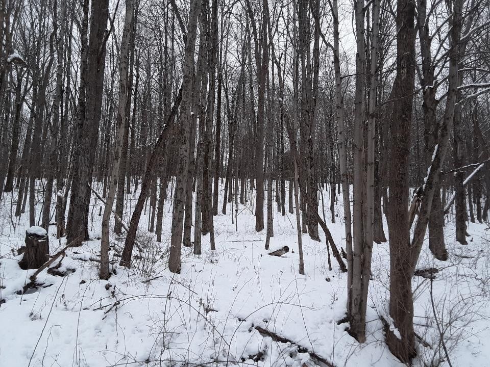 4 acres in Chemung County, New York