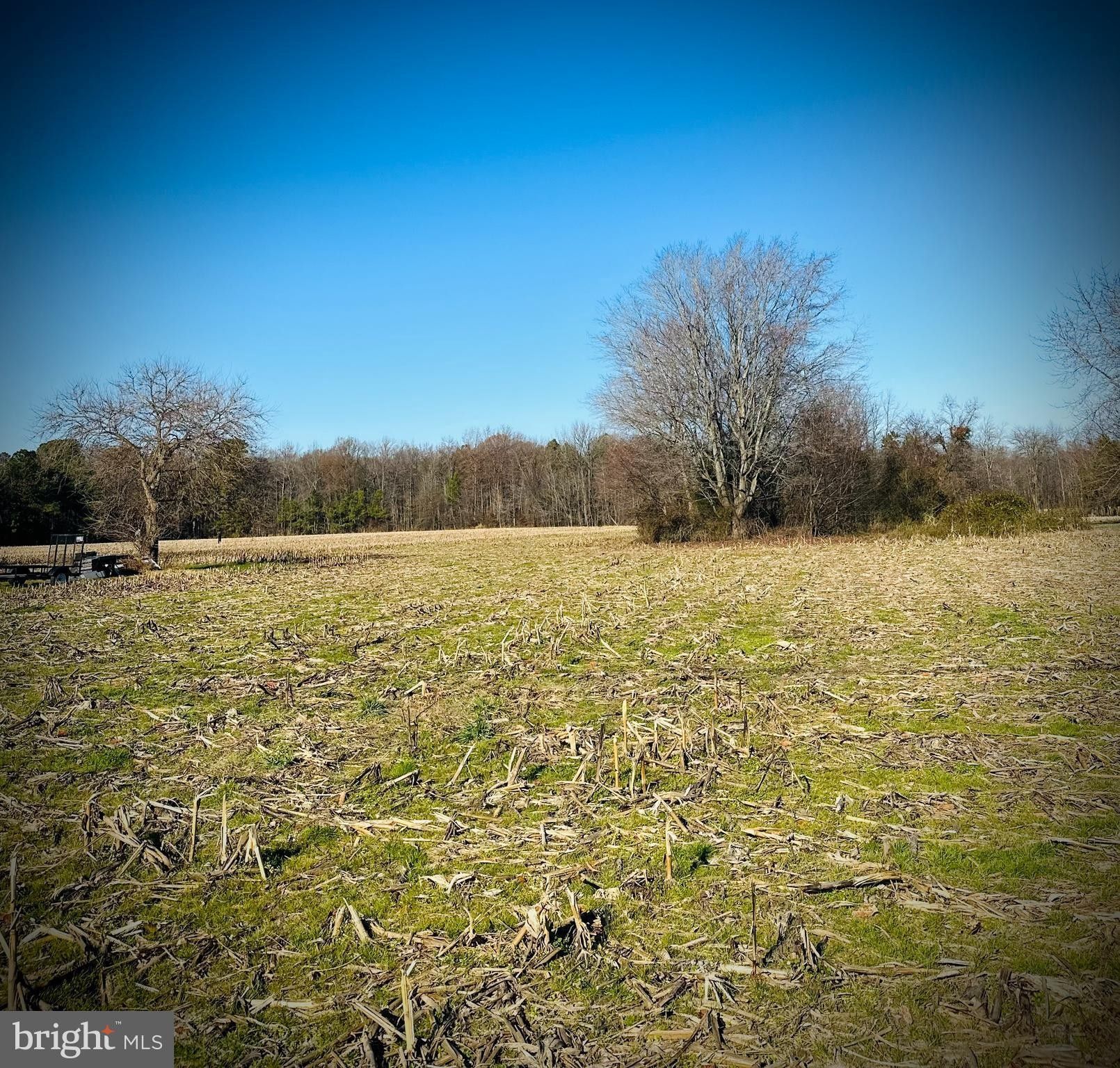 10.4 acres in Kent County, Delaware