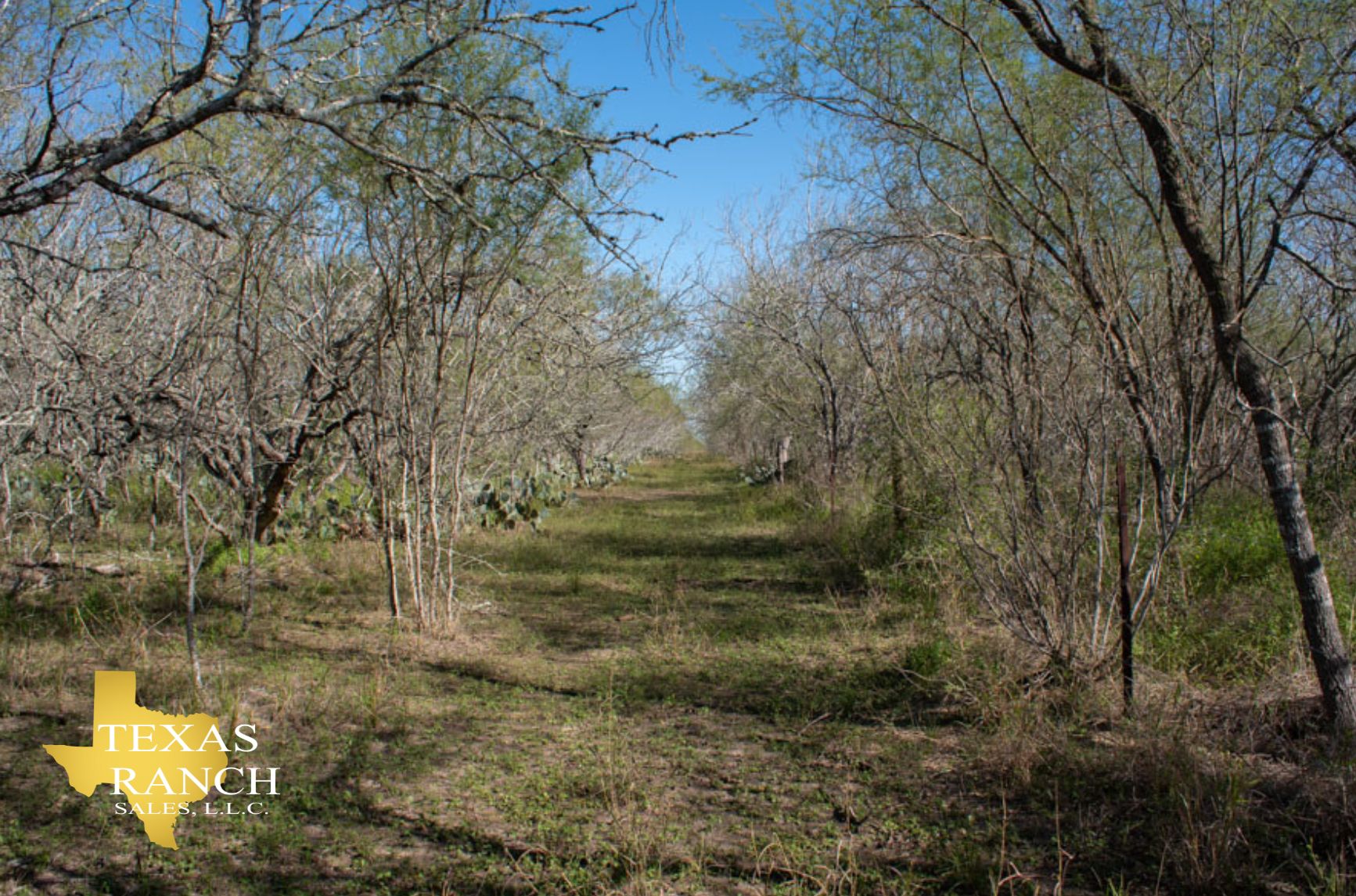 40 acres in Karnes County, Texas