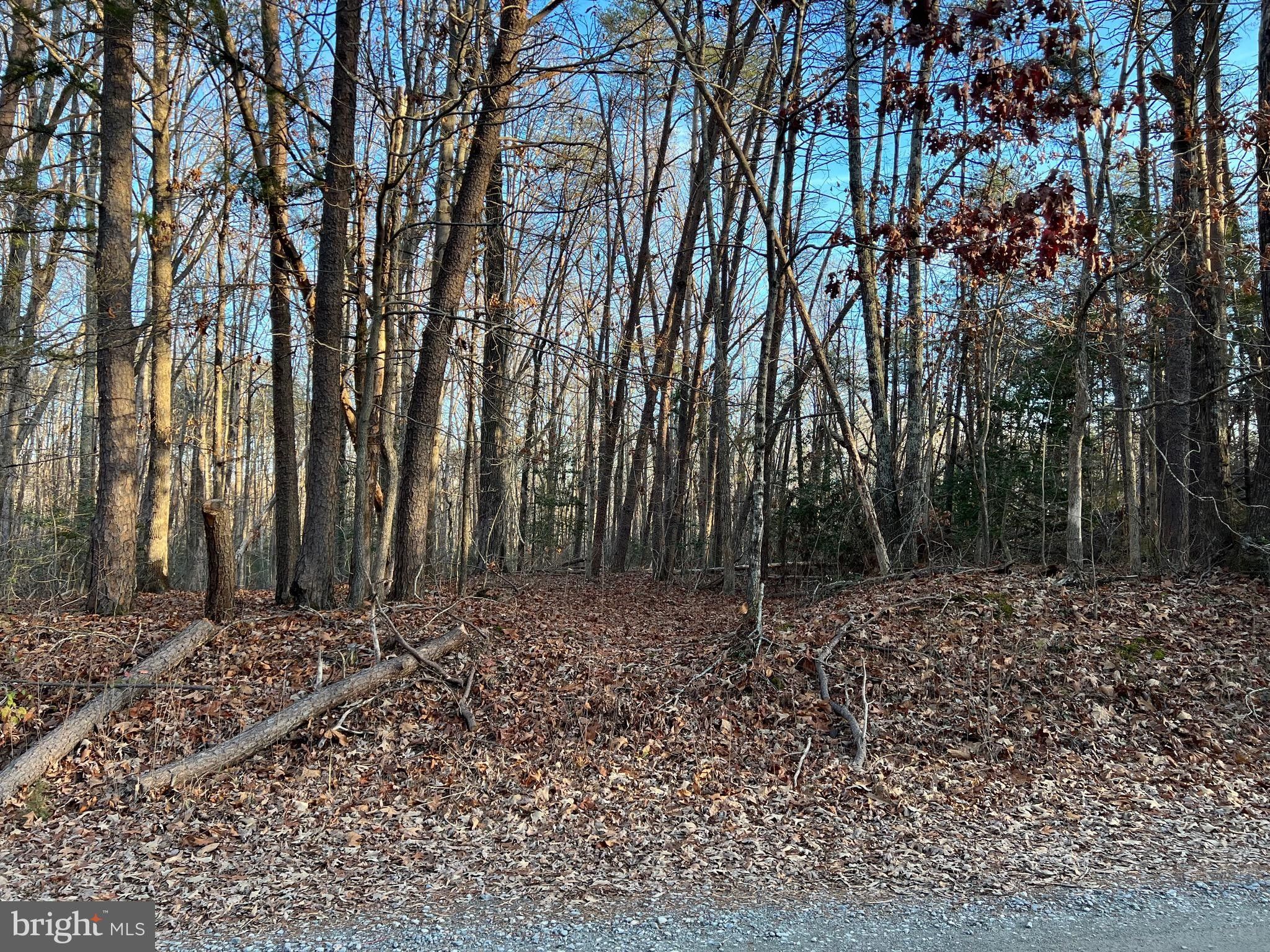 5 acres in Louisa County, Virginia