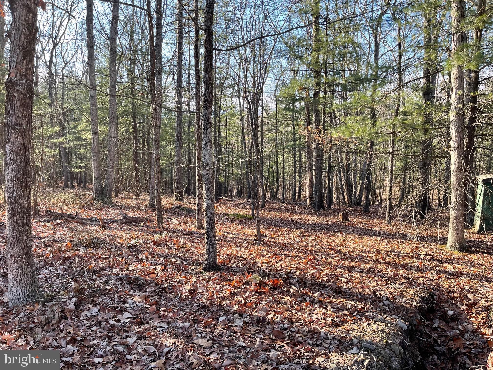 8 acres in County, West Virginia